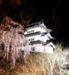 ２００４年４月撮影　春のさくら祭でライトアップされた弘前城です。今年は、例年になく早く咲き始めました。さくら祭りもいつもより早く始まり、4月17日から5月5日までです。